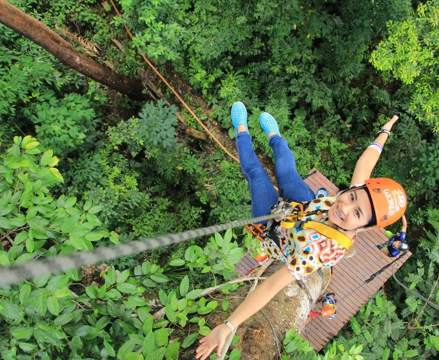 Tree Top BuildersZip Lines from Tree Houses