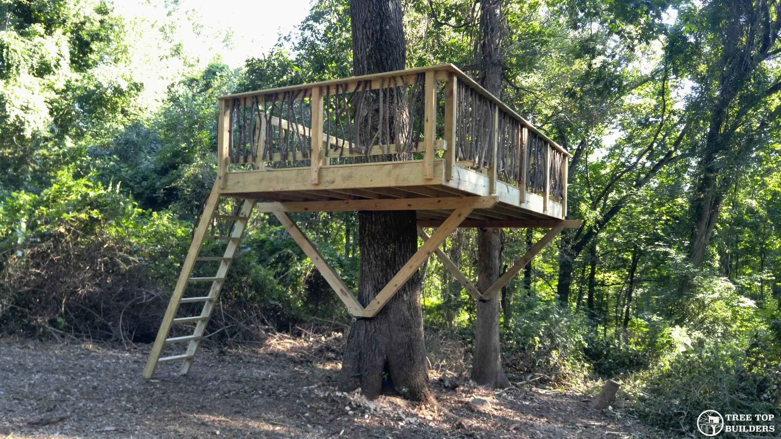 Tree Platform Construction