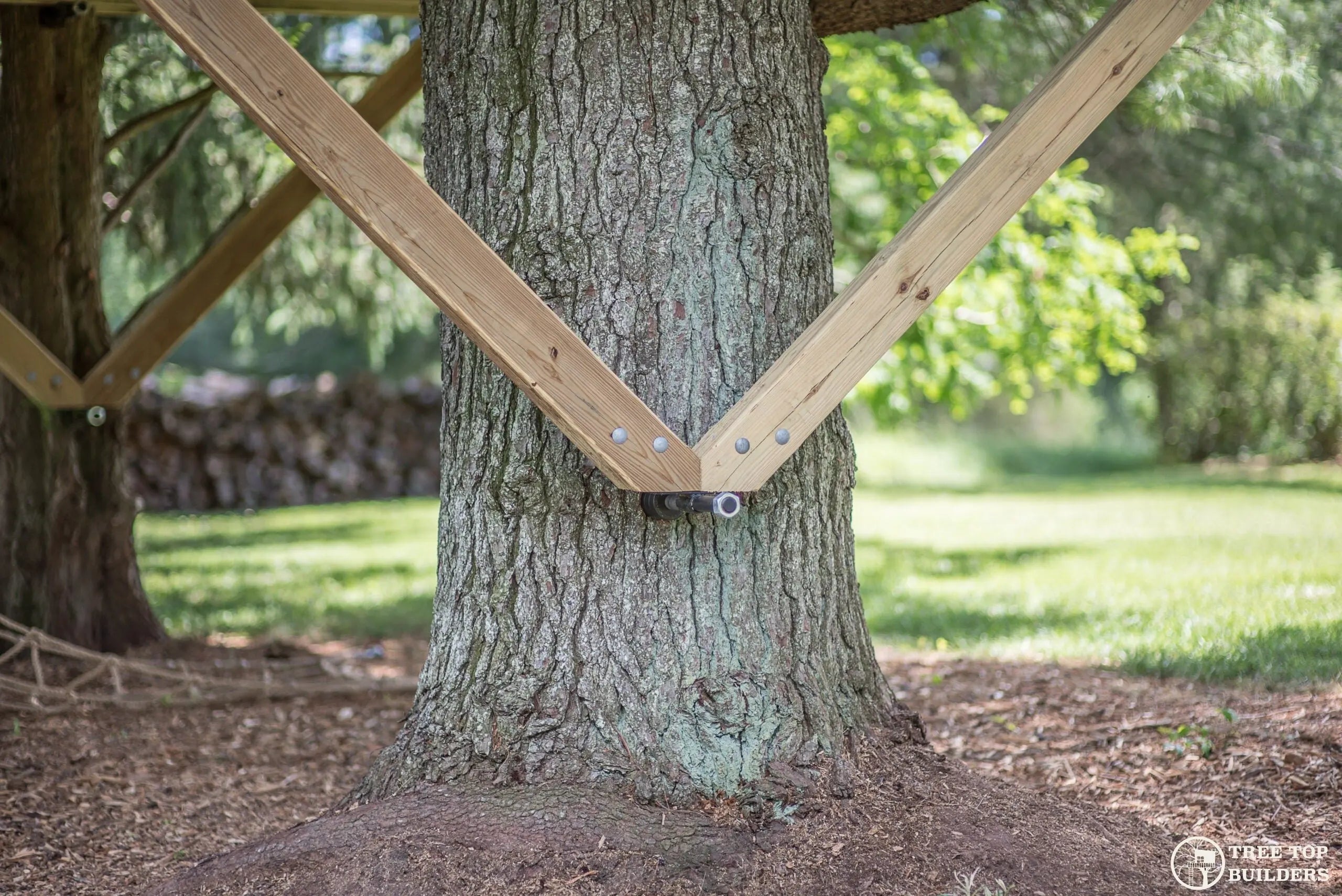 Building A Tree Treehouse Construction Techniques