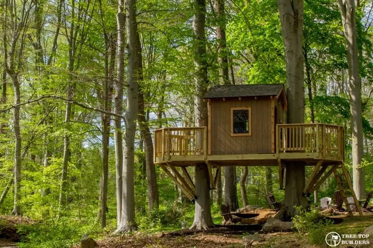 Tree Top BuildersRecent Build Spotlight: The Walters Treehouse