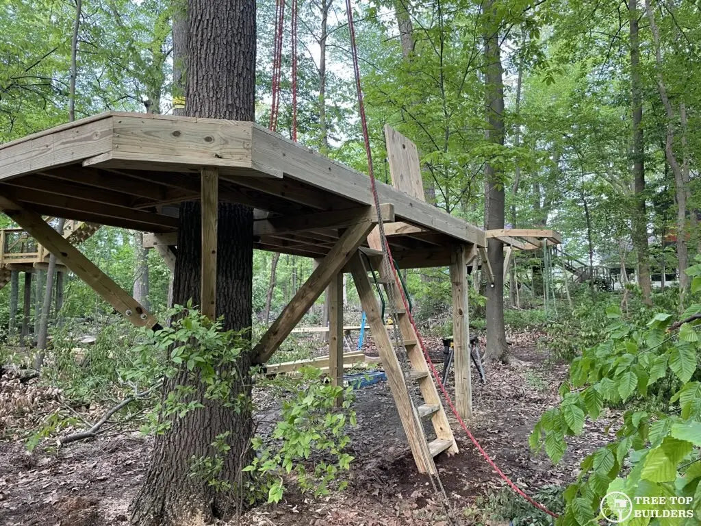 Tree Top BuildersWhat does "don't pin a tree house beam" mean?