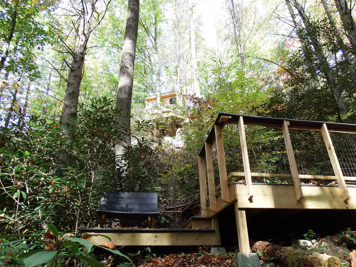 Wooden deck in a forest setting with trees and foliage surrounding it.