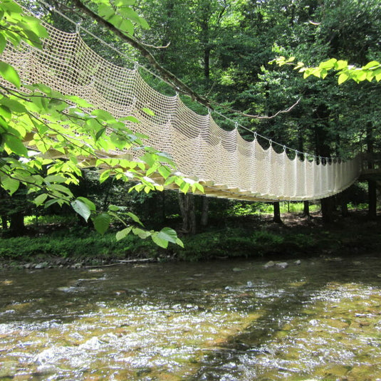 Structural Tree Support For Bridge Bridges - Tree Top Builders