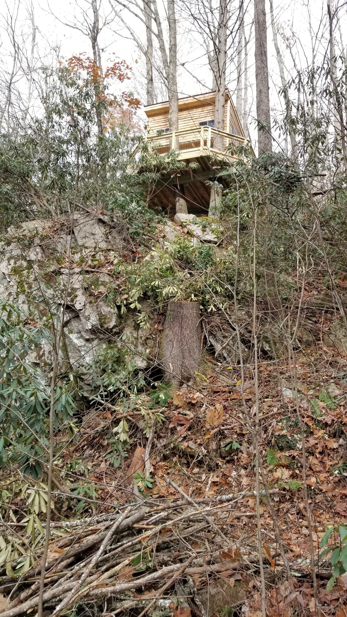 Treehouse perched on a rocky outcrop in a forest setting