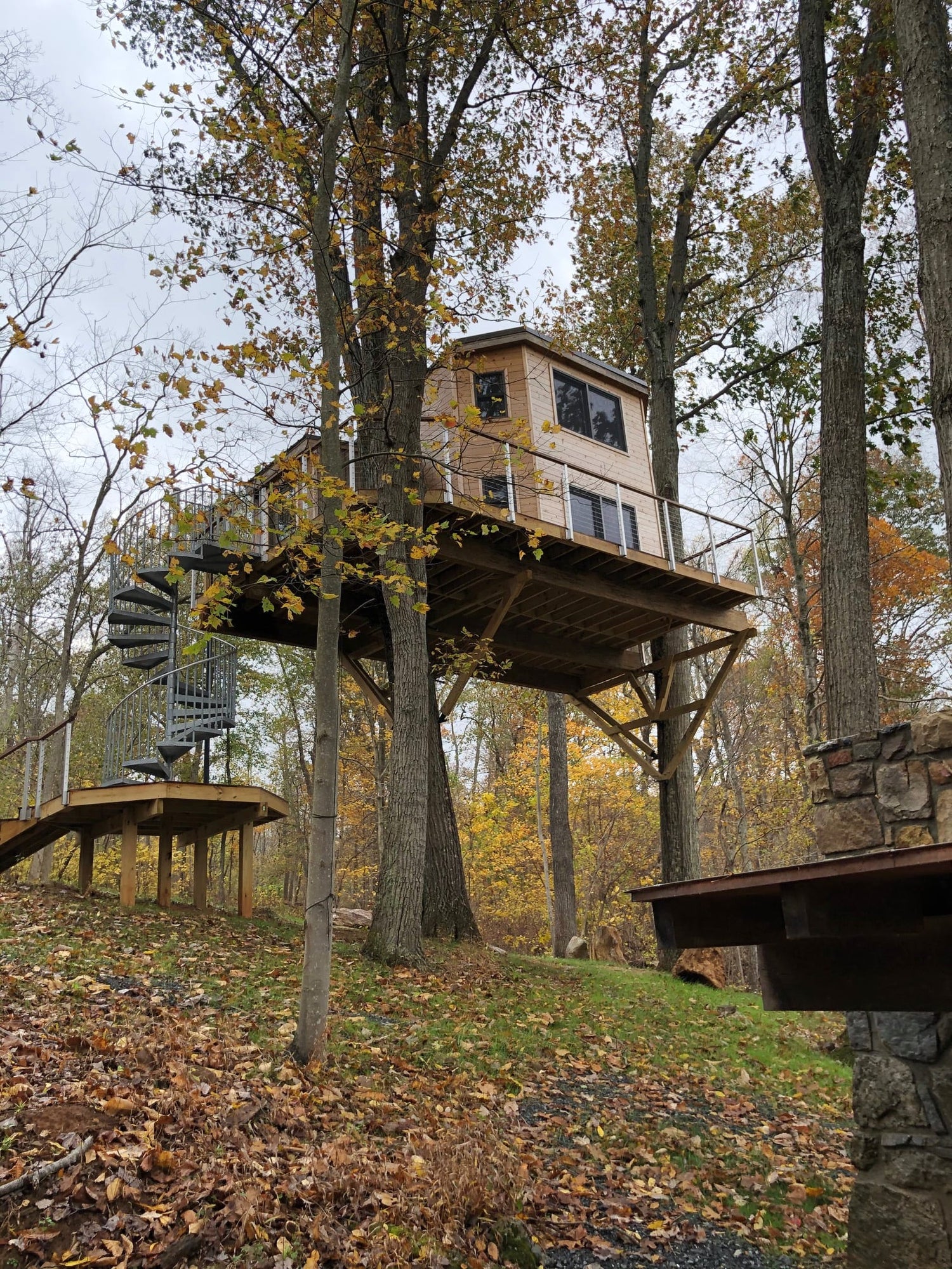 Riverview Treehouse Home - Tree Top Builders
