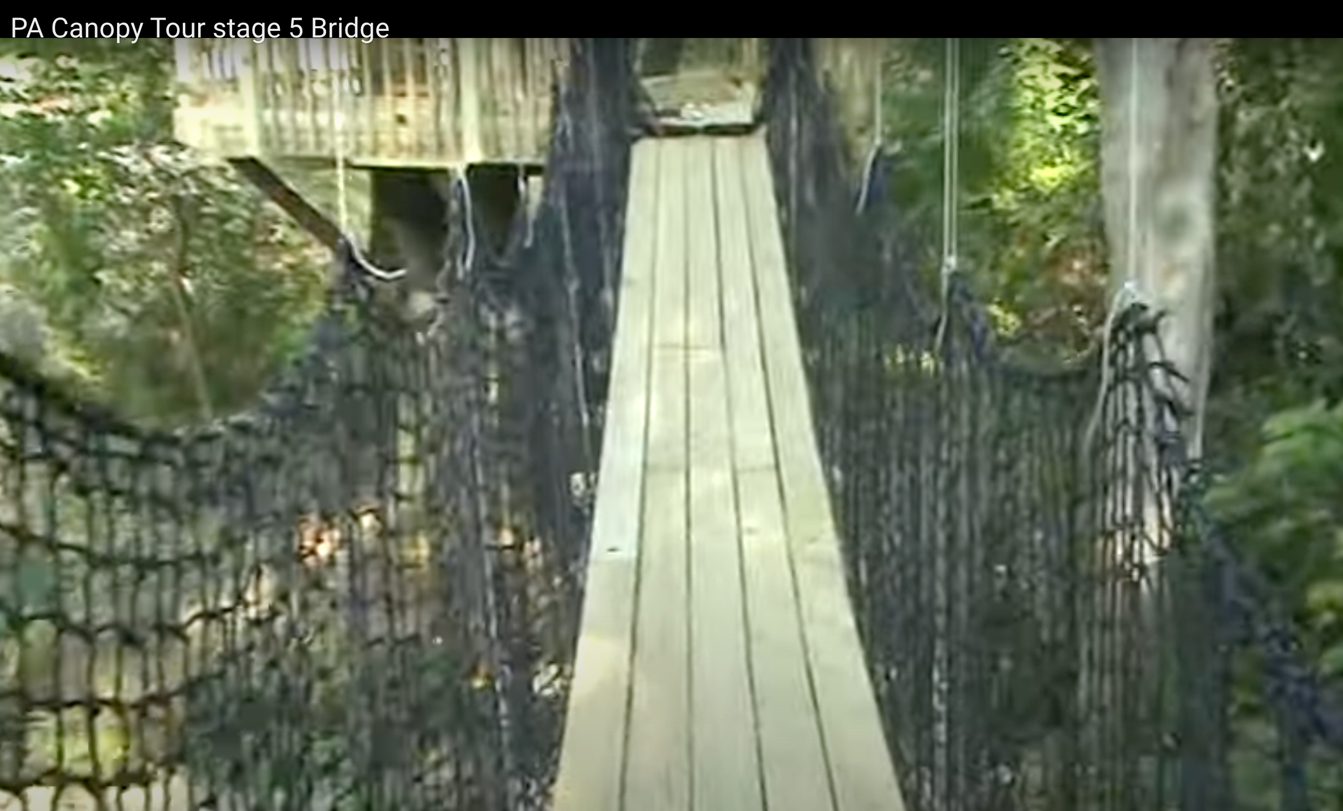 Load video: 30&#39; bridge connected these two tree house platforms over an intermittent stream.