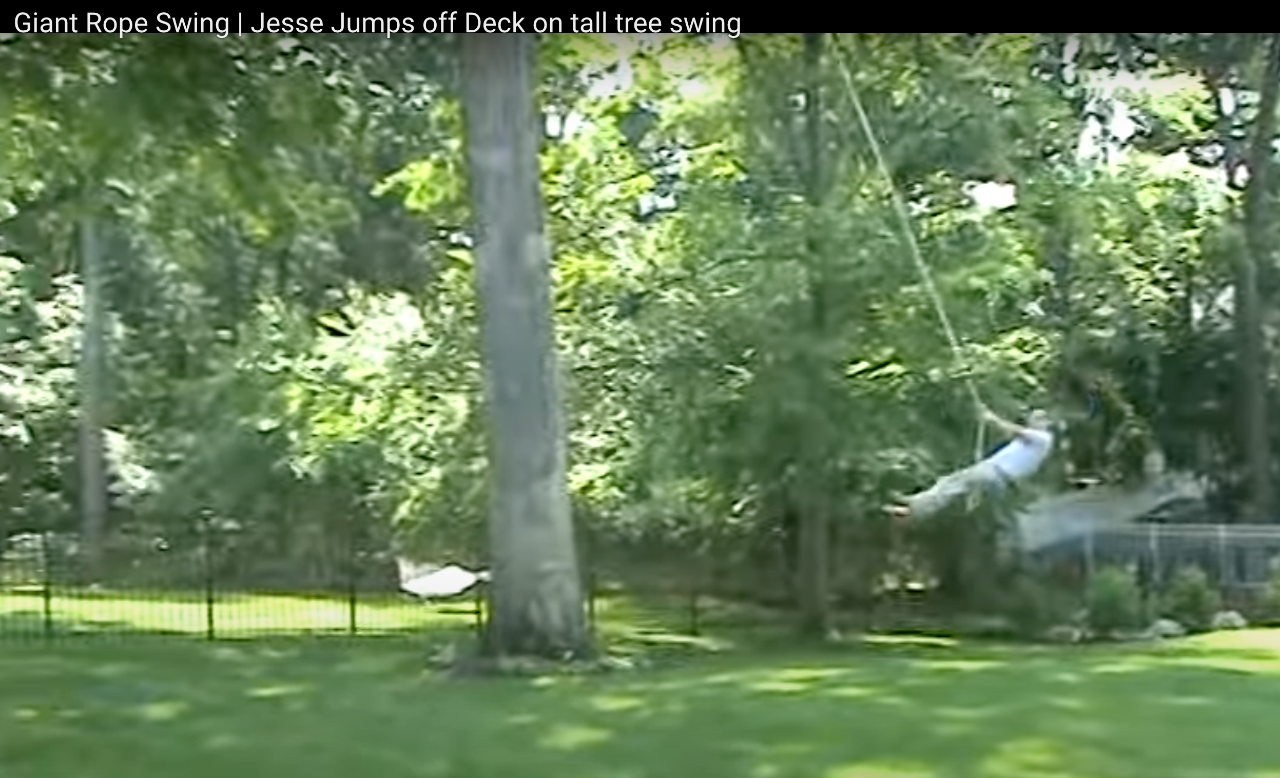 Load video: Tree Swing Rope is on a tall white oak branch. Jesse jumps off the deck railing to start swinging. Jesse is a treehouse builder at www.treetopbuilders.net