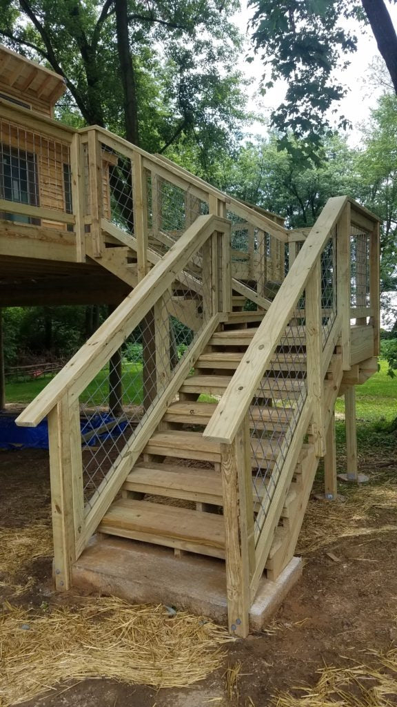 Learning Treehouse - Tree Top Builders