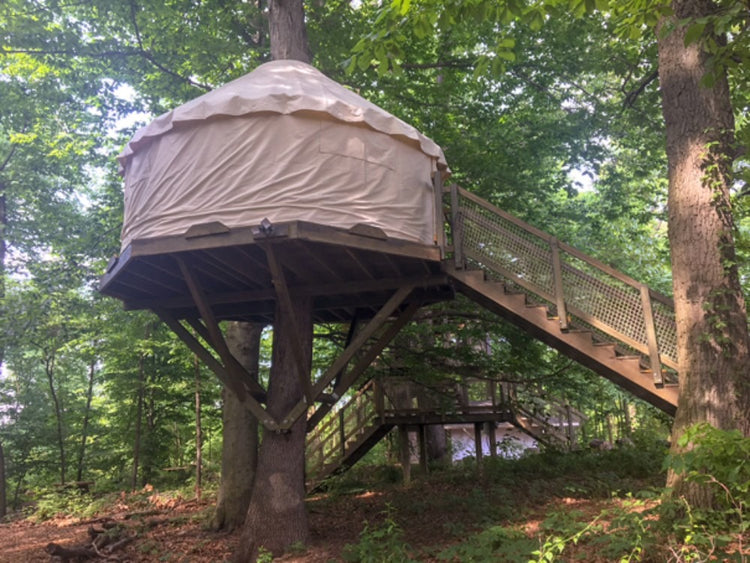 Yurt Treehouse Tree Top Builders