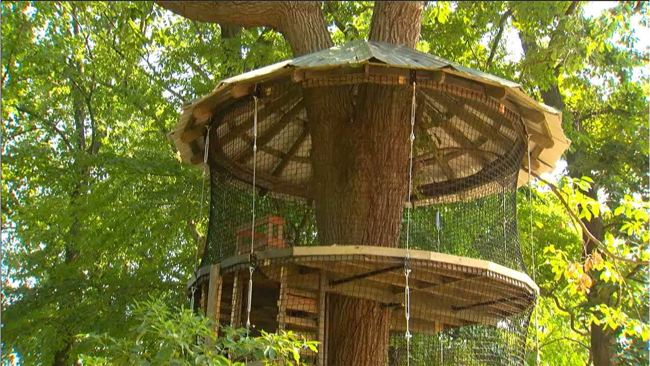 Load video: HouseSmarts &quot;Tackling a Tree House Project&quot; Episode 151